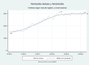 Homicidio doloso y feminicidio