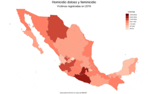 Homicidio doloso y feminicidio
