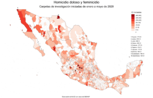 Homicidio doloso y feminicidio