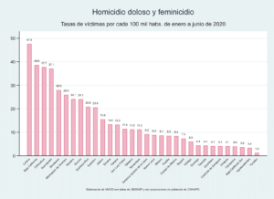 Homicidio doloso y feminicidio
