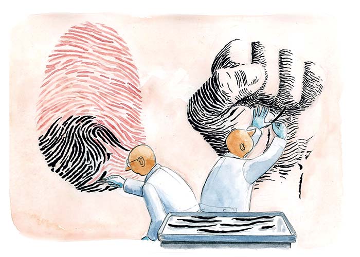 Crisis forense en un país de desaparecidos: ¿a dónde mirar?