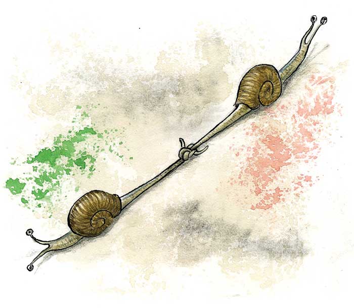 Ilustración: Víctor Solís