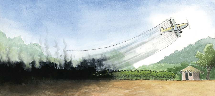 La erradicación de los cultivos ilícitos y su militarización: una política incuestionada