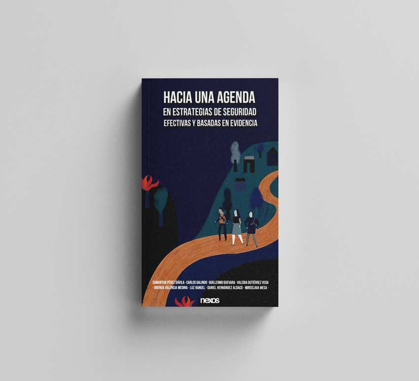 Libro electrónico “Hacia una agenda en estrategias de seguridad efectivas y basadas en evidencia”