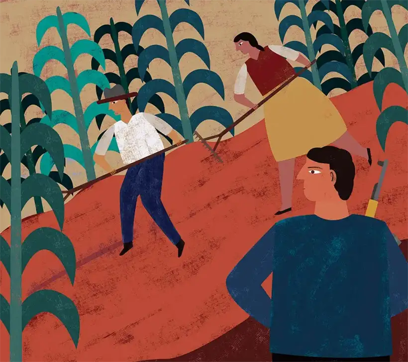 Sembrando Vida en México: ¿la ilusión de la sustitución de cultivos ilícitos?